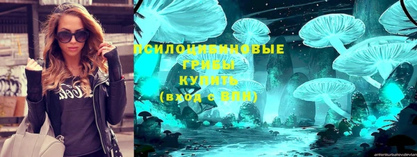 герыч Верхний Тагил