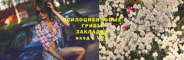 герыч Верхний Тагил