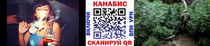Канабис White Widow  Кимры 